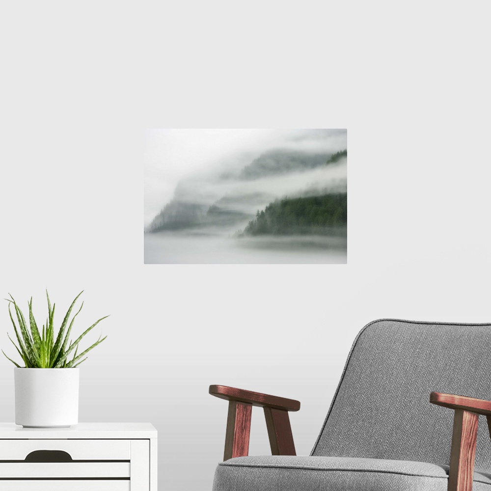 A modern room featuring Canada, British Columbia, Fiordland Recreation Area. Mist and fog shroud water and forested islan...