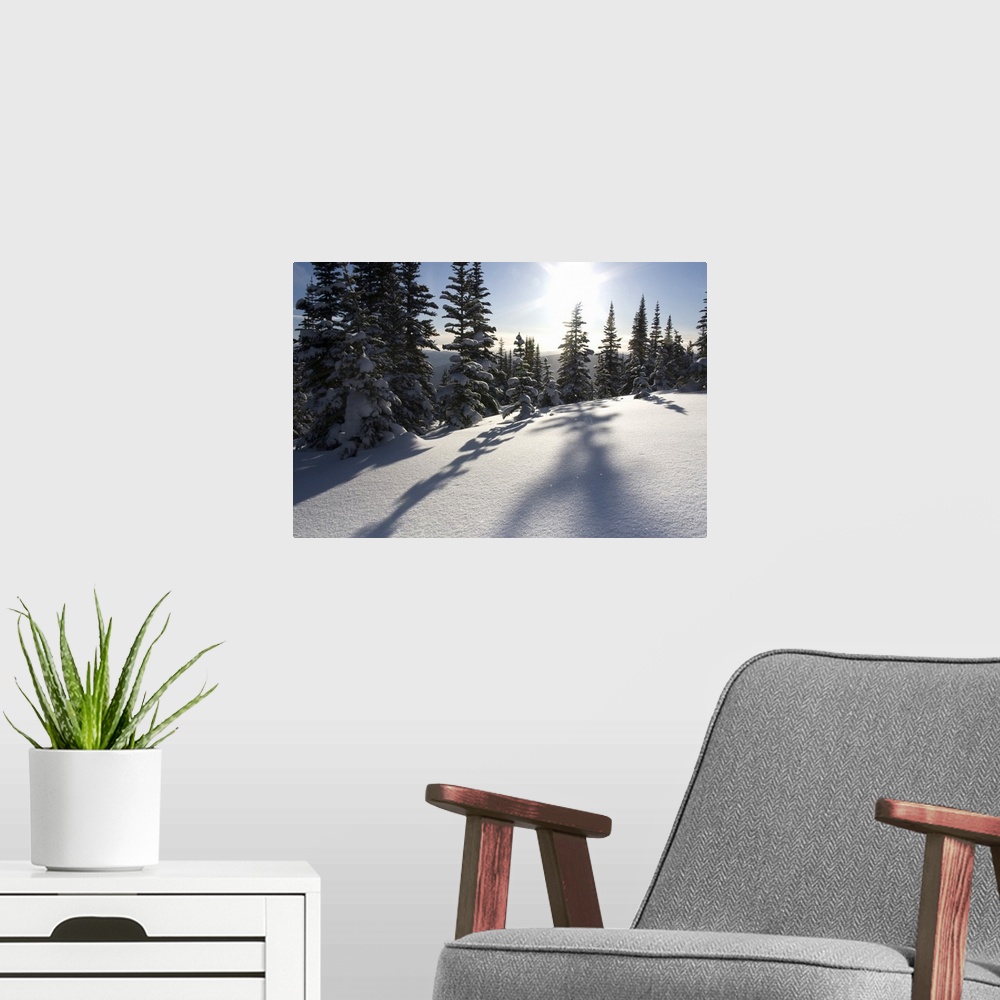 A modern room featuring Canada, British Columbia, Smithers. Snow-laden spruce trees cast shadows across sunlit snow. Cred...