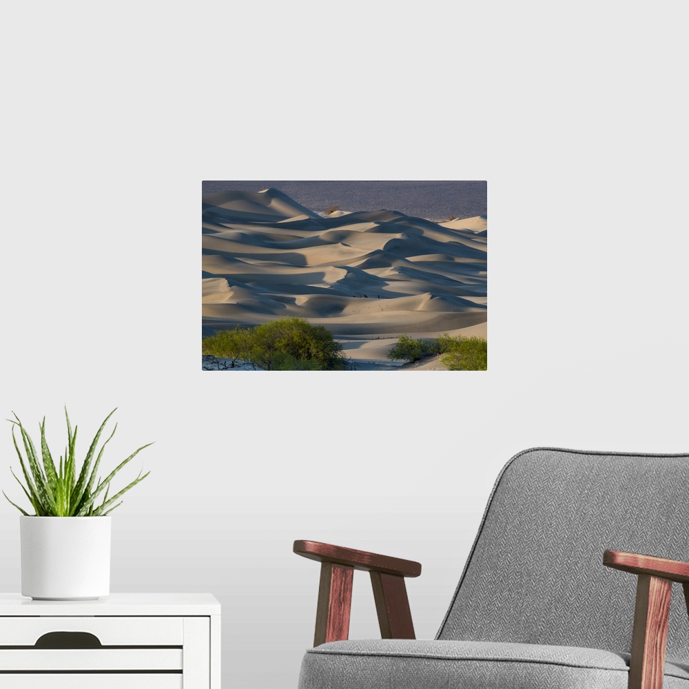 A modern room featuring North America, USA, California, Death Valley National Park.  Sunset  shadow on sea of sand dunes,...