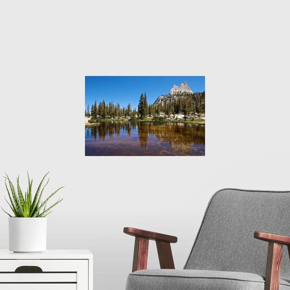 A modern room featuring North America, USA, California, Yosemite National Park. Cathedral Peak reflected in a glacial tarn.