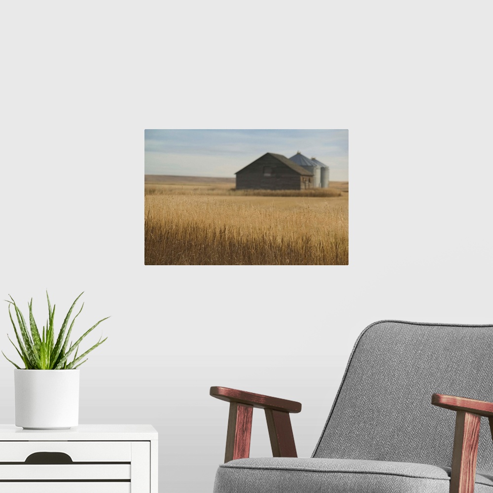 A modern room featuring Canada, Alberta, Rosebud, Grain Barn, Wheat Farm