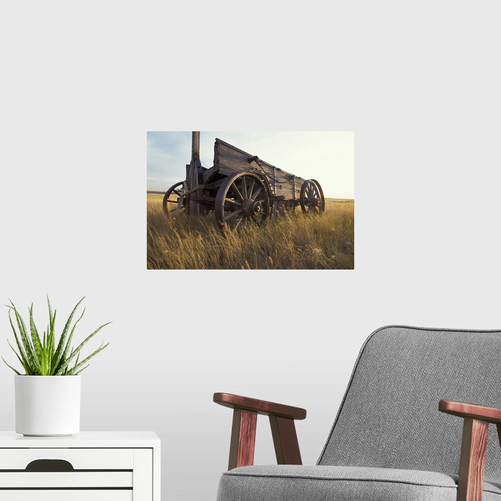 A modern room featuring Canada, Saskatchewan, An old horse-drawn cart in a field near Maple Creek