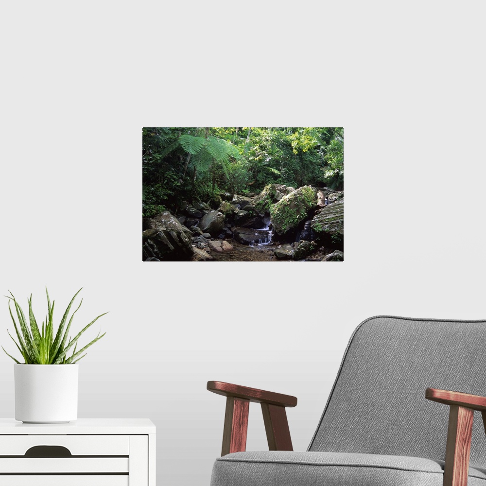 A modern room featuring A water fall in the El Yunque rain forest of Puerto Rico...water, fall, waterfall, rain forest, f...