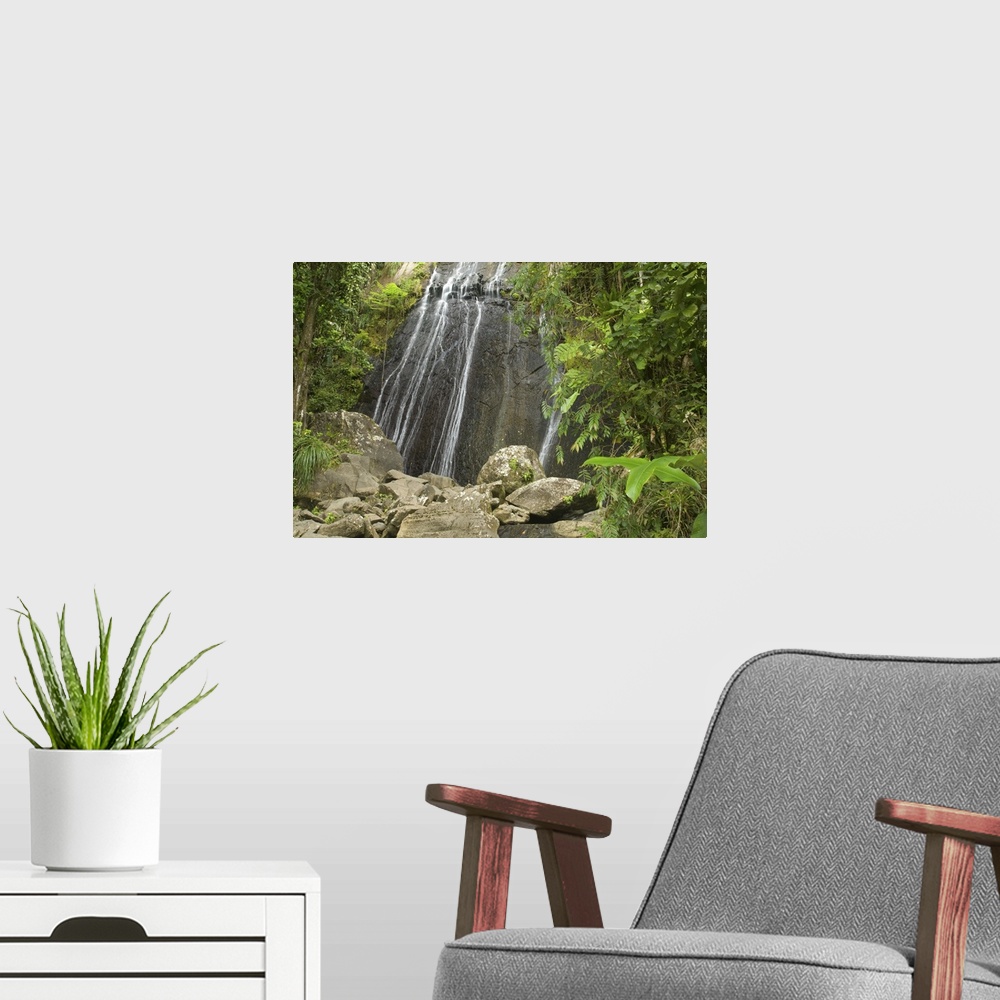 A modern room featuring Caribbean, Puerto Rico, El Yunque rain forest, Caribbean National Forest. La Coca Falls.