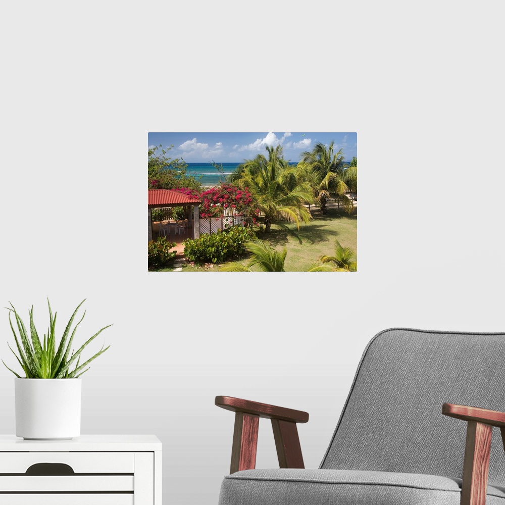 A modern room featuring Caribbean, Puerto Rico, Vieques.  Caribbean, garden and palm trees, viewed from porch of house/ho...