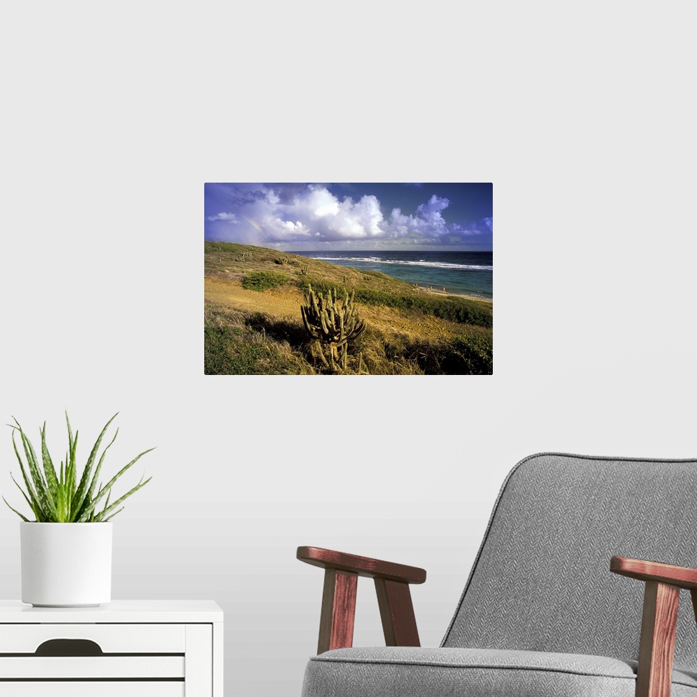 A modern room featuring Caribbean, US Virgin Islands, St. Croix, Point Udall. Point seascape with rainbow