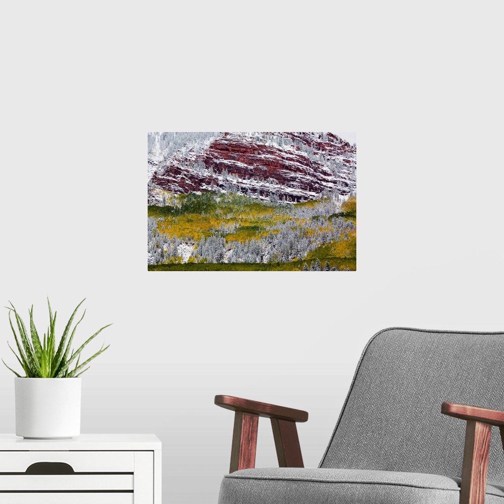 A modern room featuring North America,USA, Colorado,First Snow over the Red Cliffs and Aspens of Redstone Colorado