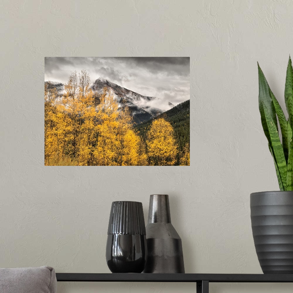 A modern room featuring USA, Colorado, Silverton, Clearing storm and fall color on the Alpine Loop