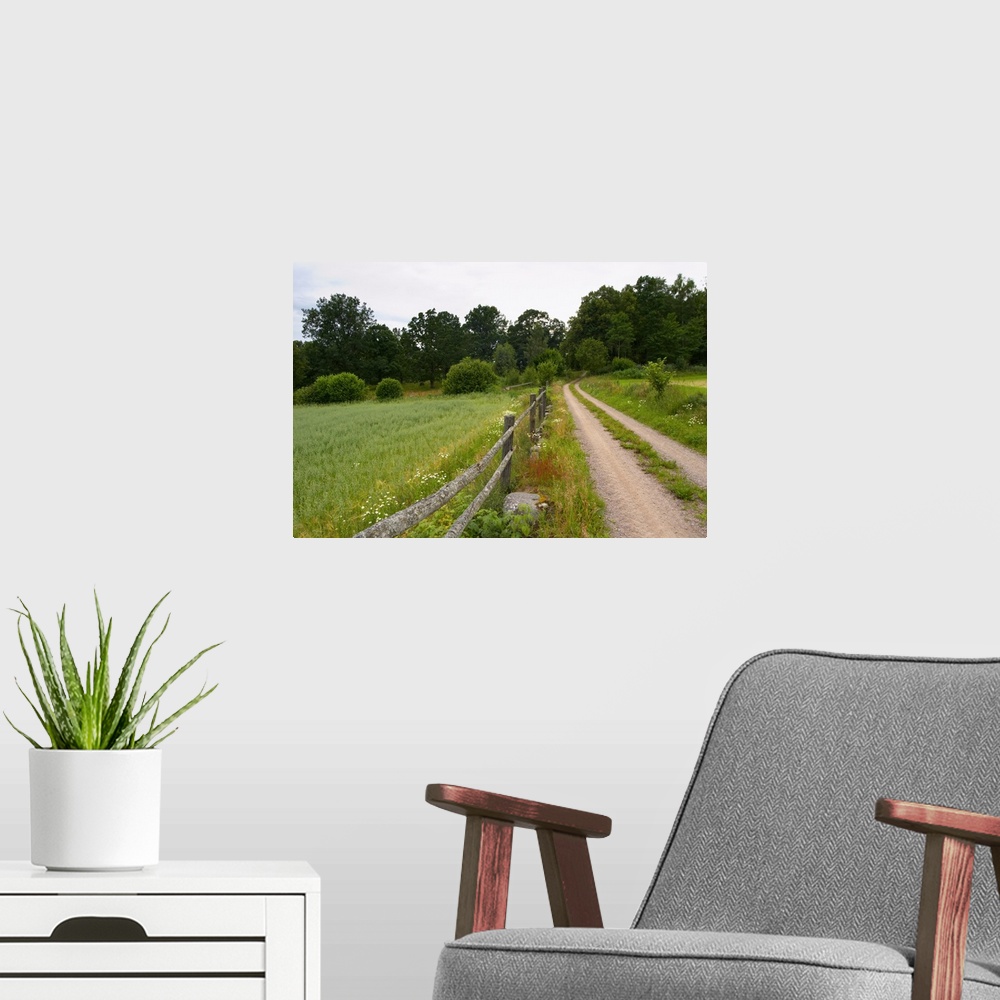 A modern room featuring Country road, wooden fence and field. Through the forest. Smaland region. Sweden, Europe.