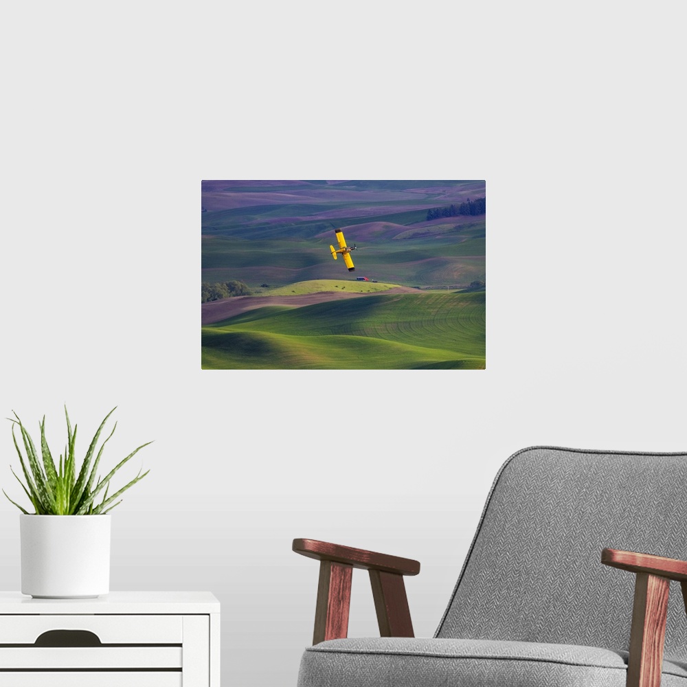 A modern room featuring Crop duster applying chemicals on wheat fields from Steptoe Butte near Colfax, Washington State, ...