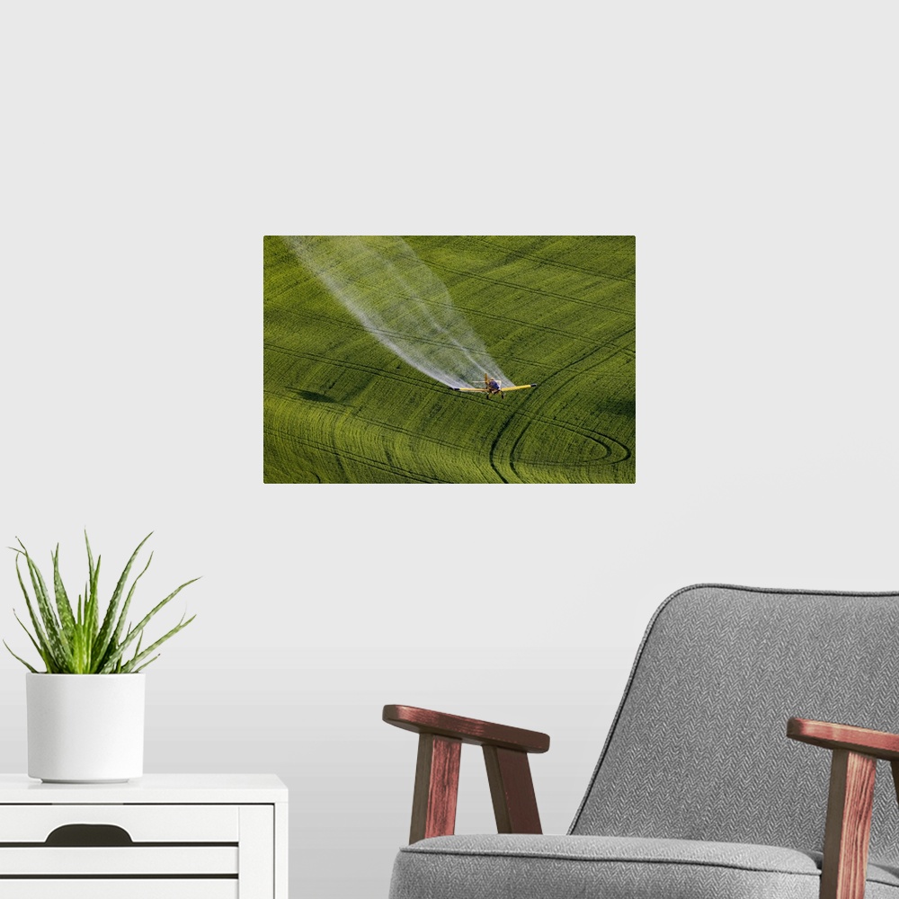 A modern room featuring Crop duster applying chemicals on wheat fields from Steptoe Butte near Colfax, Washington State, ...