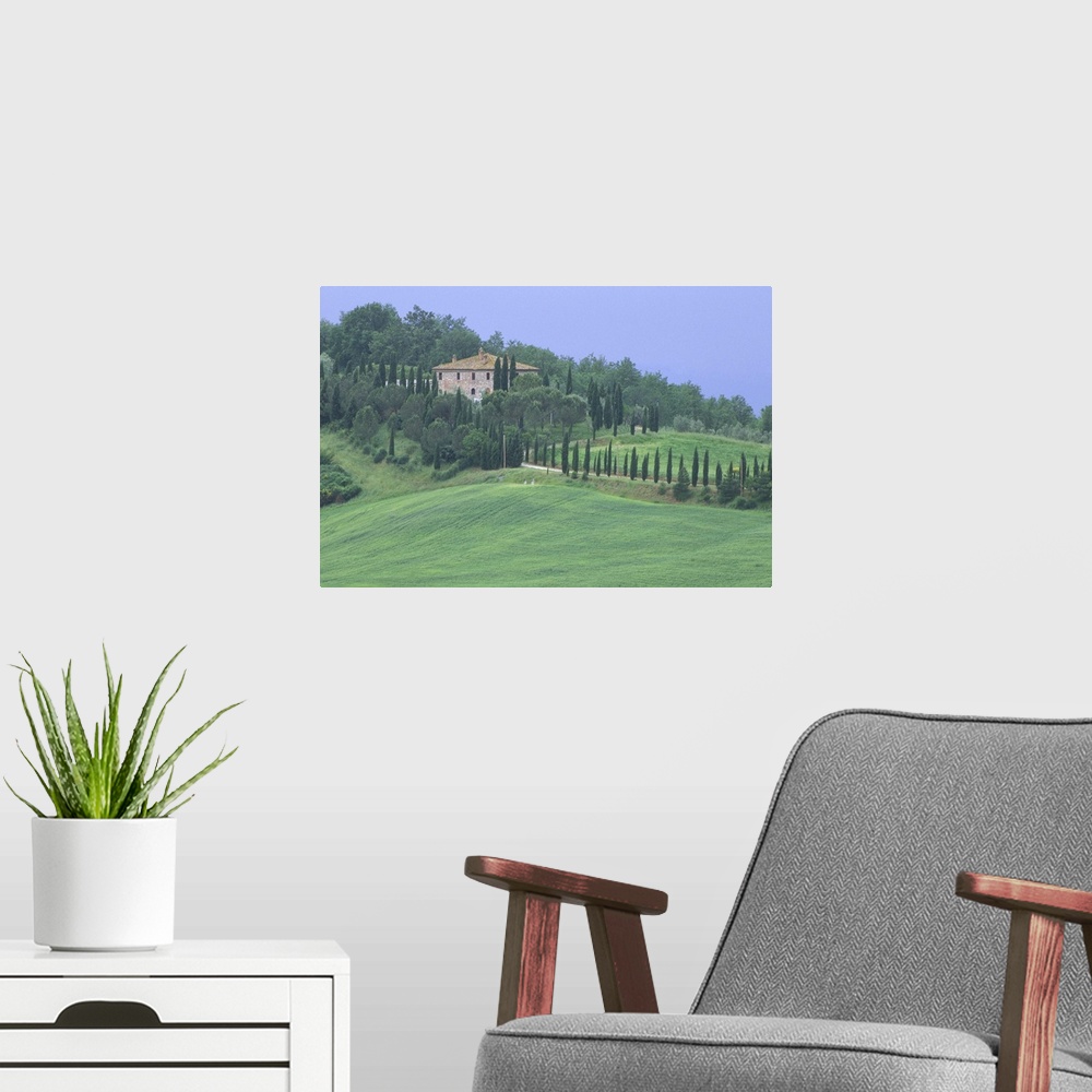 A modern room featuring Europe, Italy, Tuscany.  Villa on tree lined hillside in Tuscany.