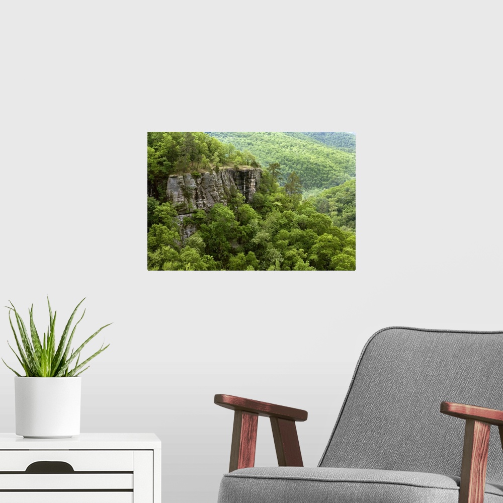 A modern room featuring Exposed bluffs at Hemmed in Hollow, Buffalo National River, Arkansas.