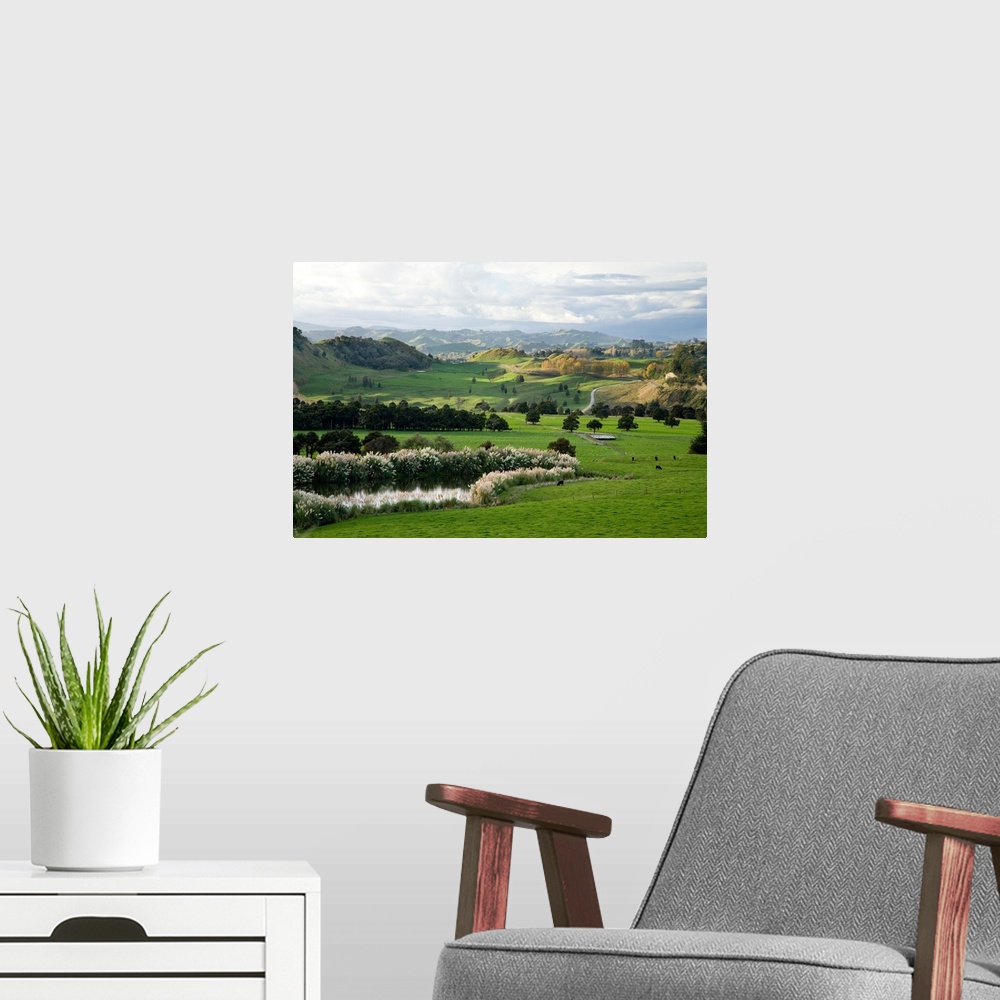 A modern room featuring Farmland, Kawhatau Valley, Rangitikei, North Island, New Zealand