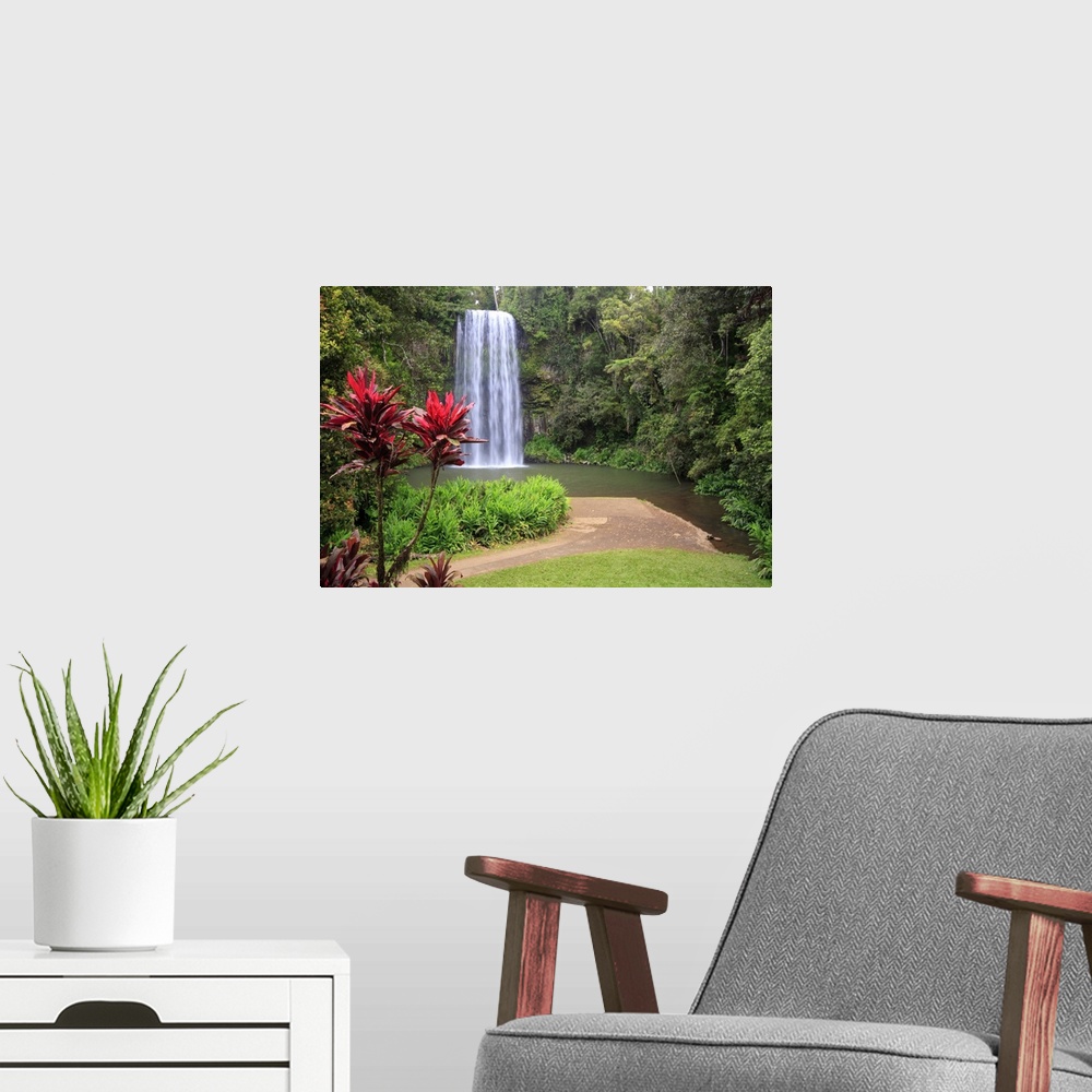 A modern room featuring Flowers at Millaa Millaa Falls, Waterfall Circuit, Queensland.