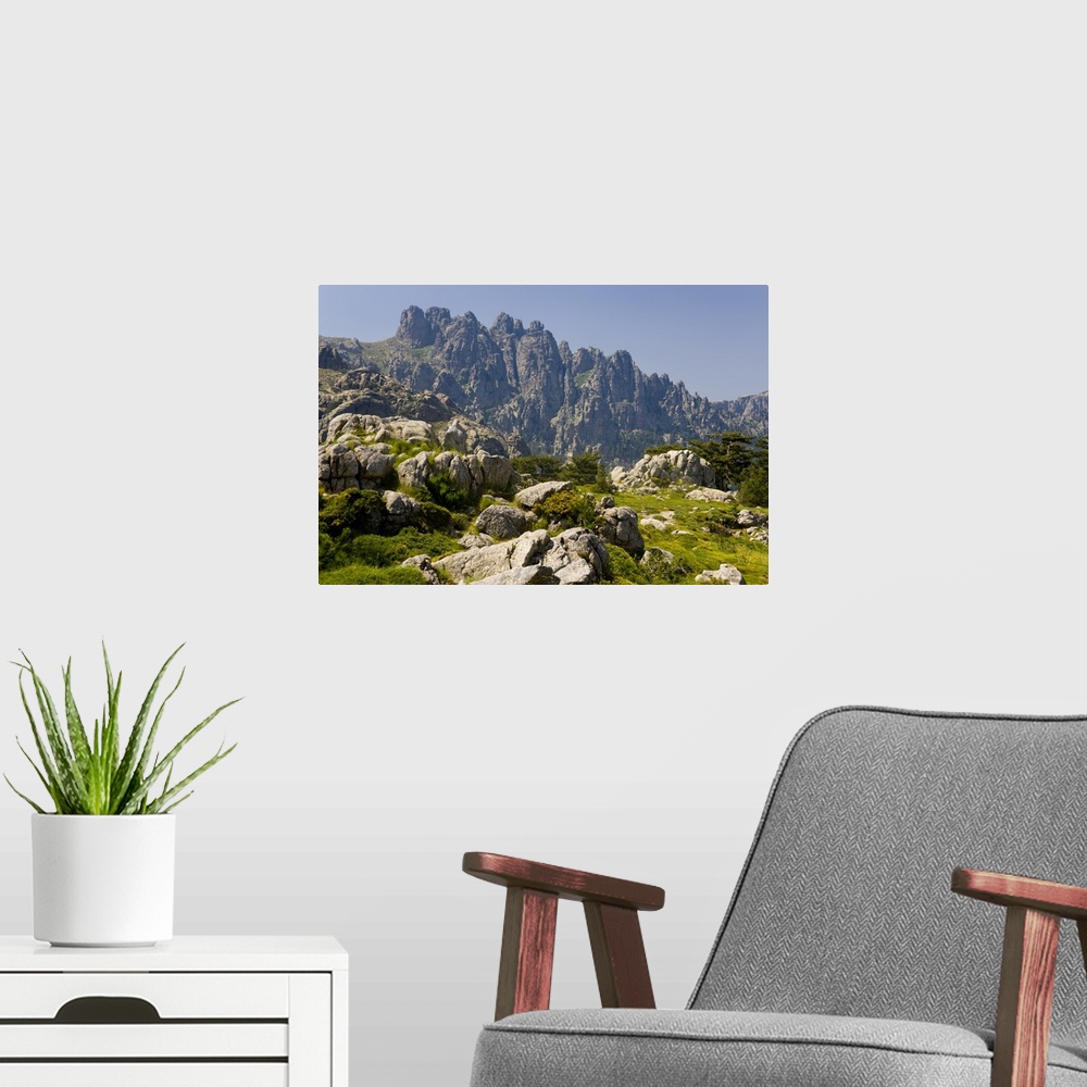 A modern room featuring Corsica. France. Europe. Granite boulders, gorse in bloom, and pinnacles of Aiguilles de Bavella....