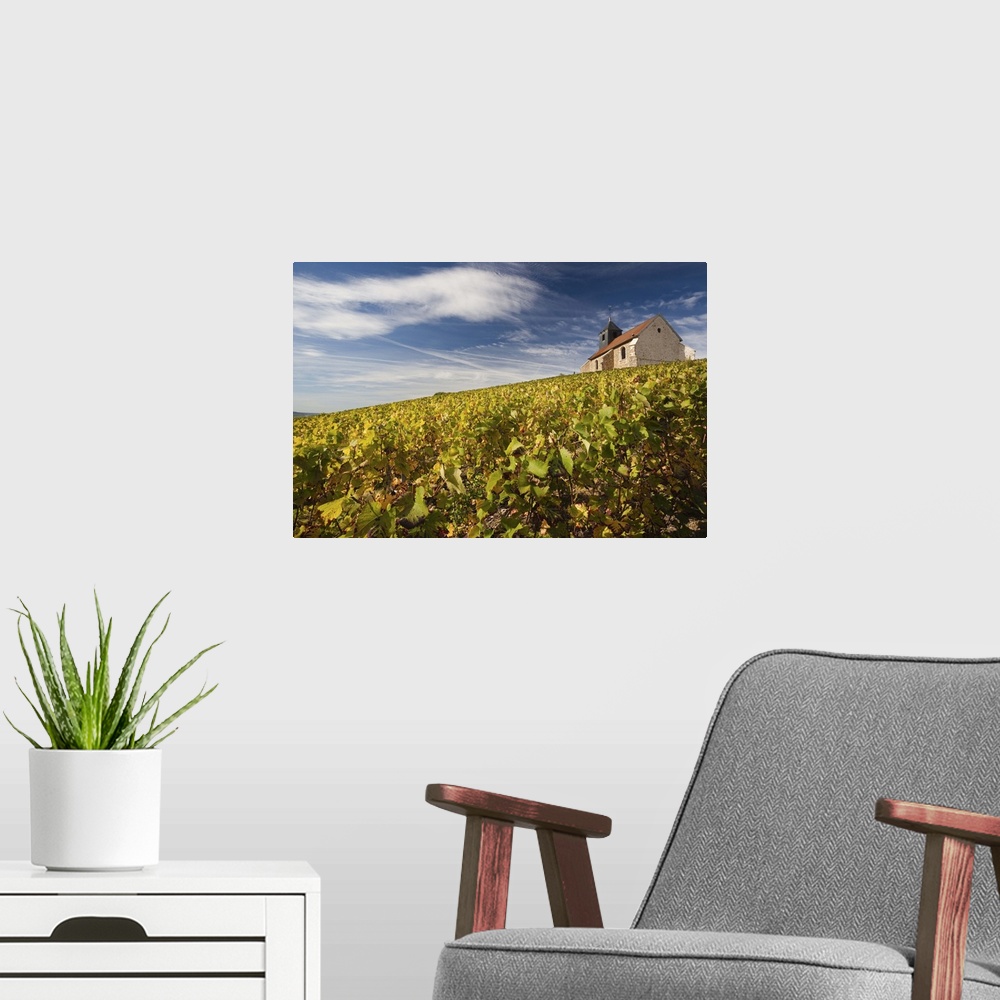 A modern room featuring France, Marne, Champagne Ardenne, Mutigny, Town Church And Vineyards