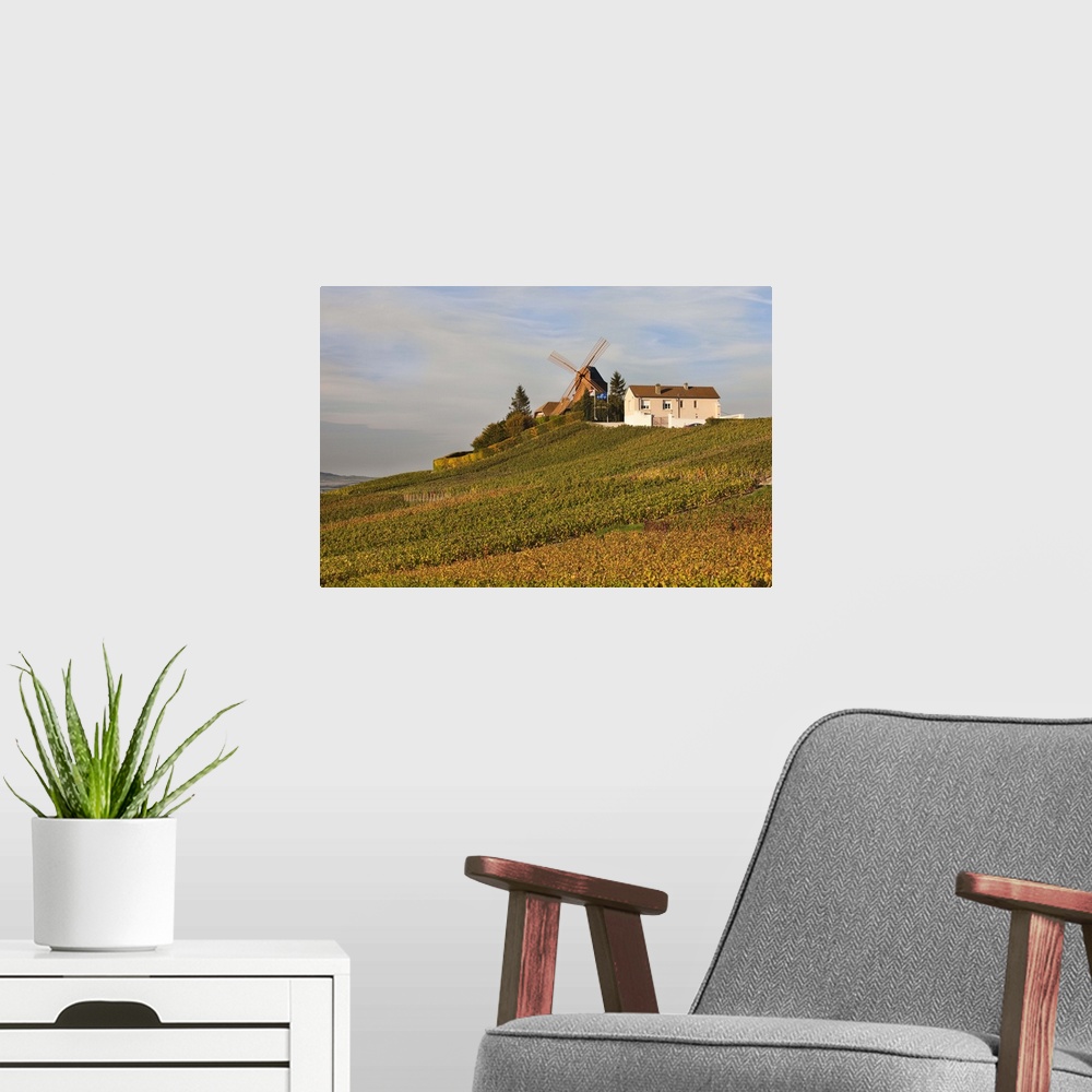A modern room featuring France, Marne, Champagne Ardenne, Verzenay, Windmill And Vineyards