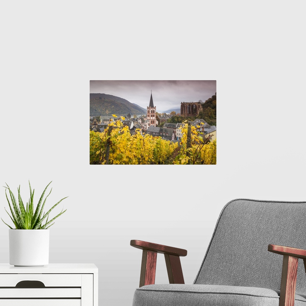 A modern room featuring Germany, Rhineland-Pfalz, Bacharach, elevated town view in autumn.