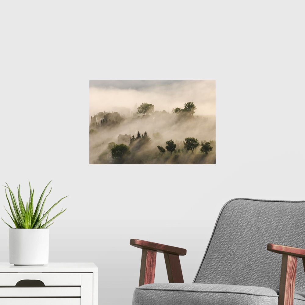 A modern room featuring Italy, Tuscany. Morning fog drifting over vineyards with sun breaking through.