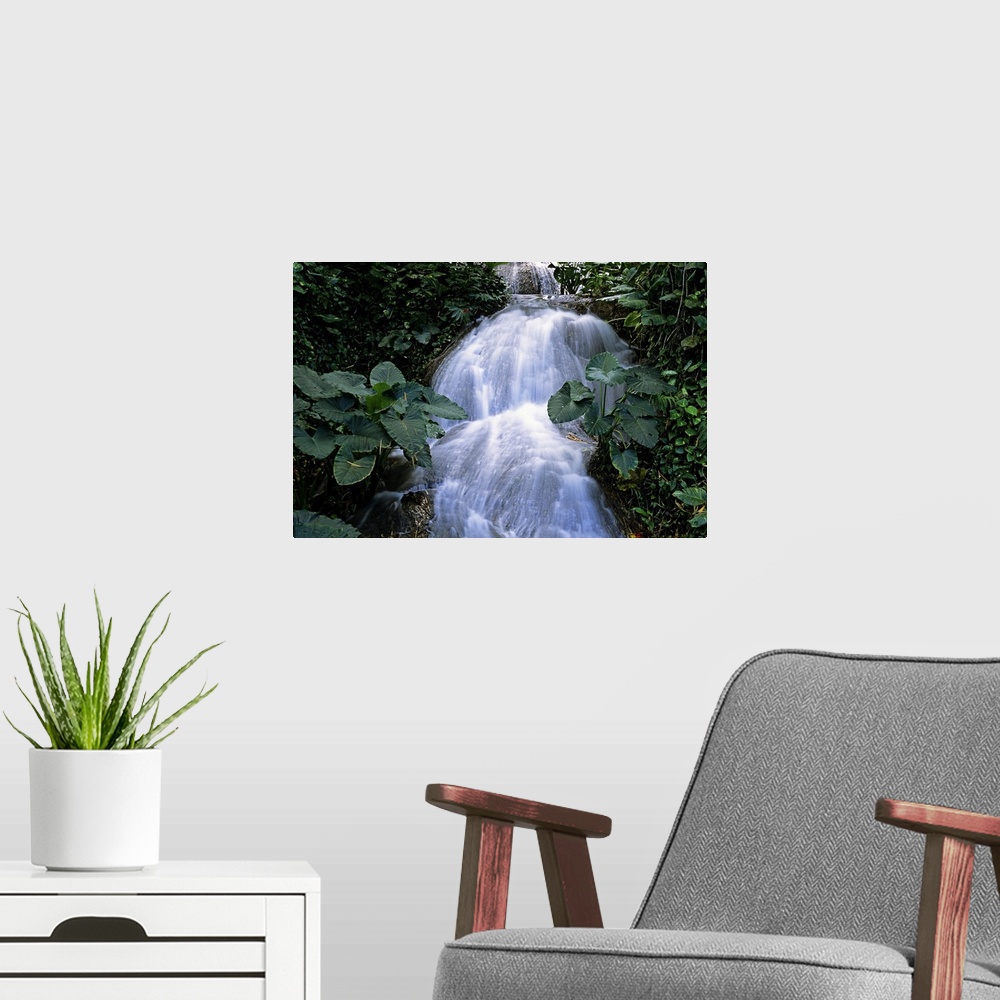 A modern room featuring Jamaica. Ocho Rios. Shaw waterfalls.