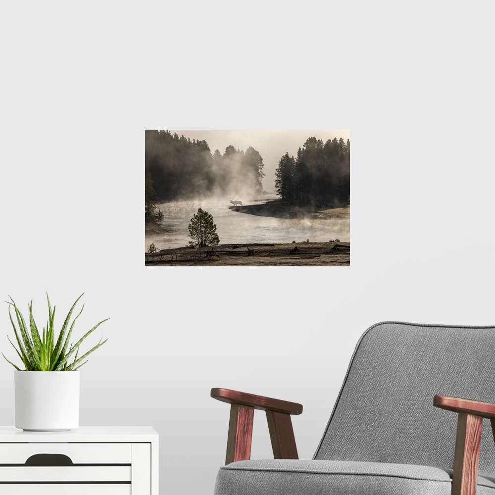 A modern room featuring Morning mist on Yellowstone River, Yellowstone National Park, Wyoming. United States, Wyoming.