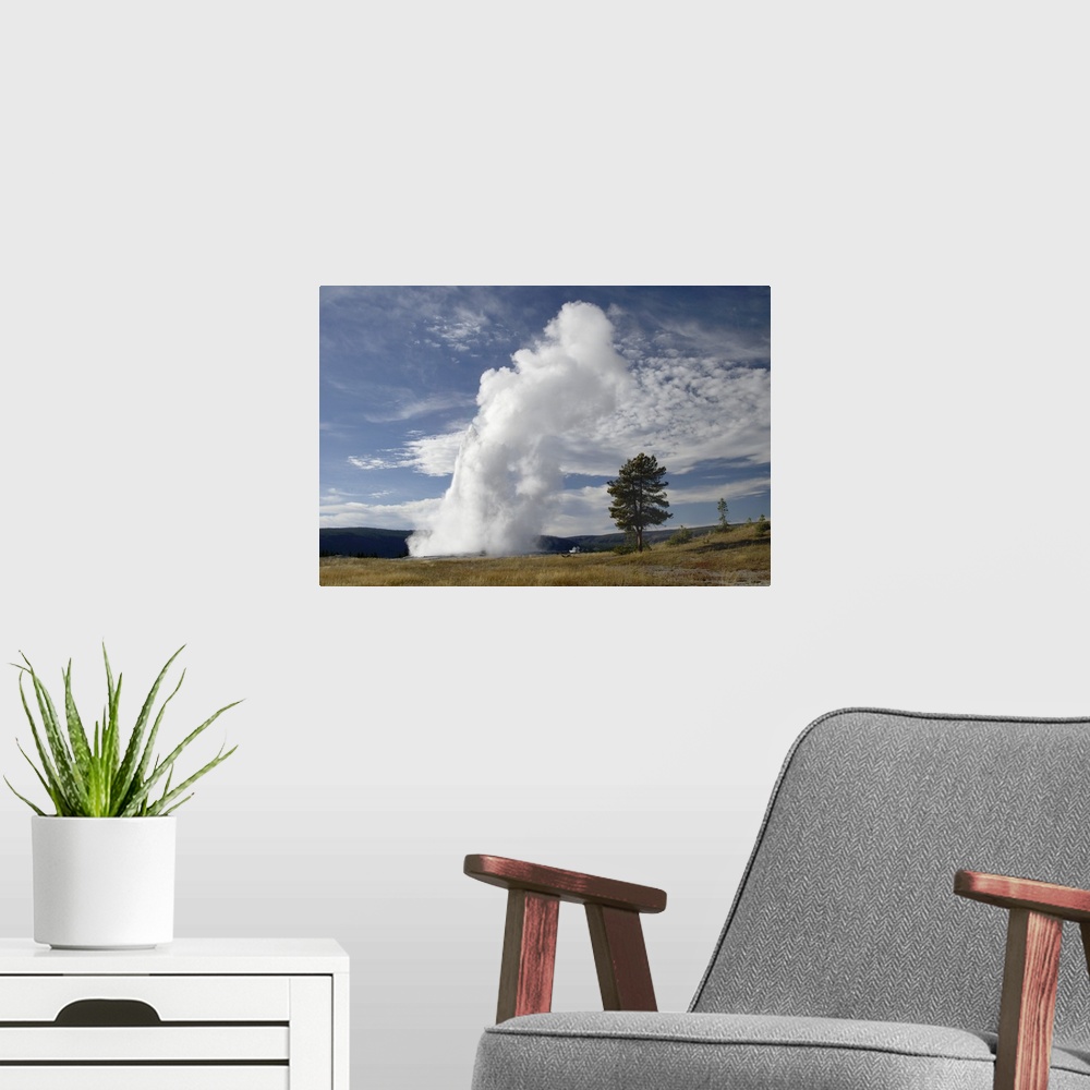 A modern room featuring Old Faithful erupting, Yellowstone National Park, Wyoming, September 2005.