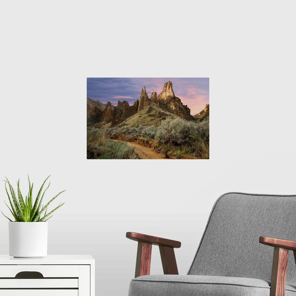 A modern room featuring USA, Oregon. View of Leslie Gulch.