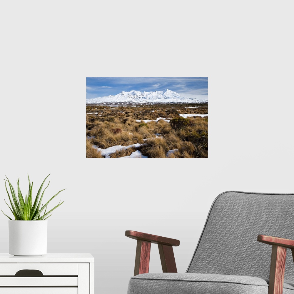 A modern room featuring Rangipo Desert and Mt Ruapehu, Central Plateau, North Island, New Zealand