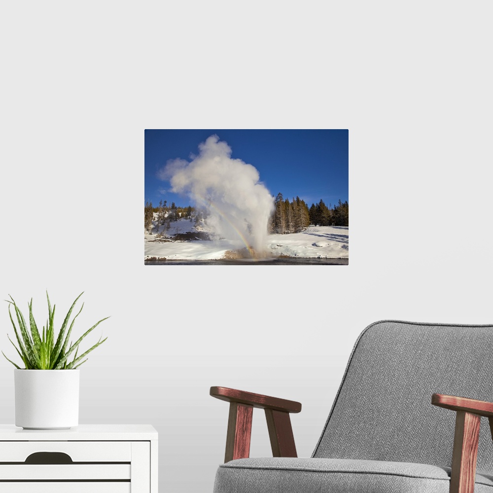 A modern room featuring Riverside Geyser erupts along the Firehole River on a nice sunny winter day in Yellowstone Nation...
