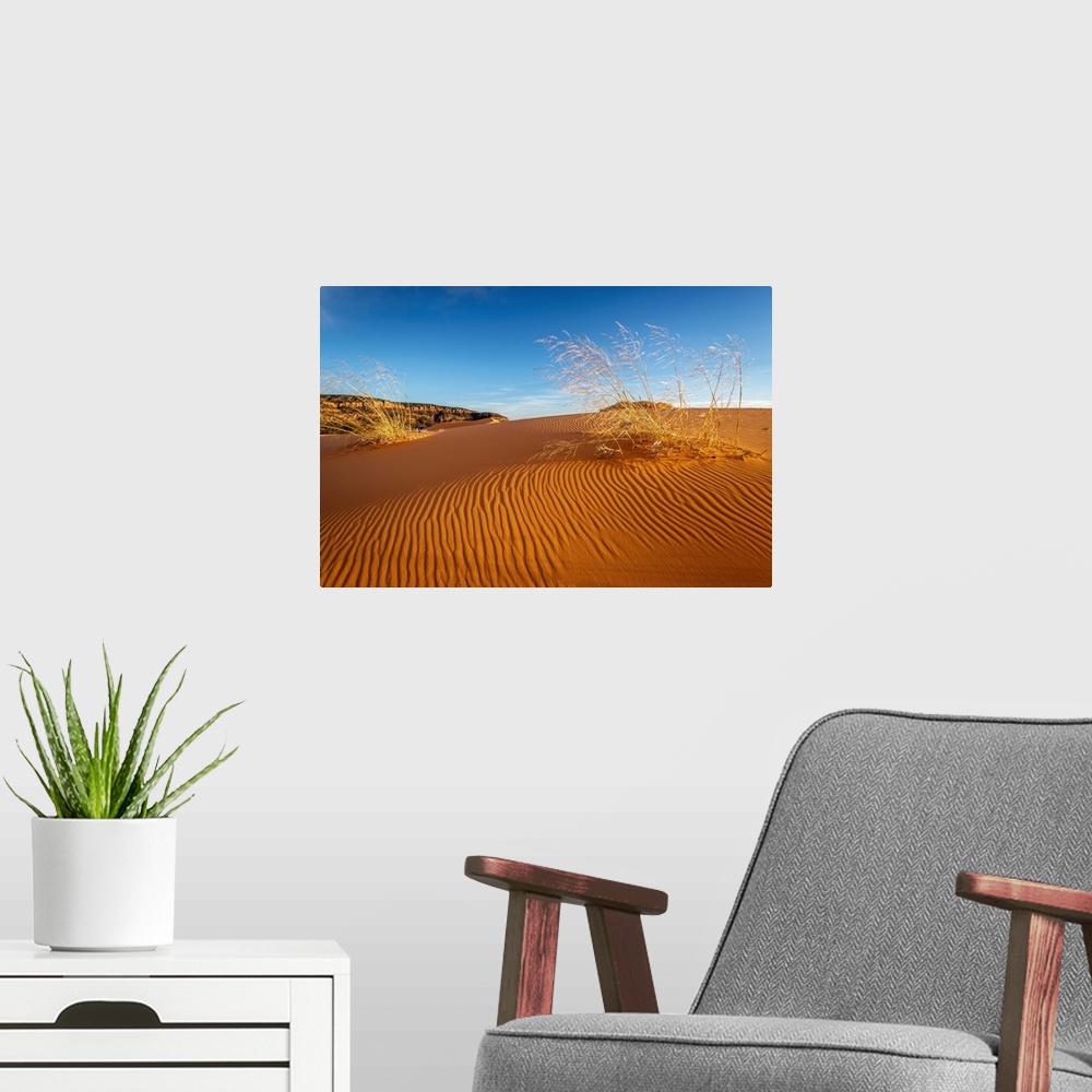 A modern room featuring Sand Dunes And Grass, Coral Pink Sand Dunes State Park, Kane County, Utah, USA