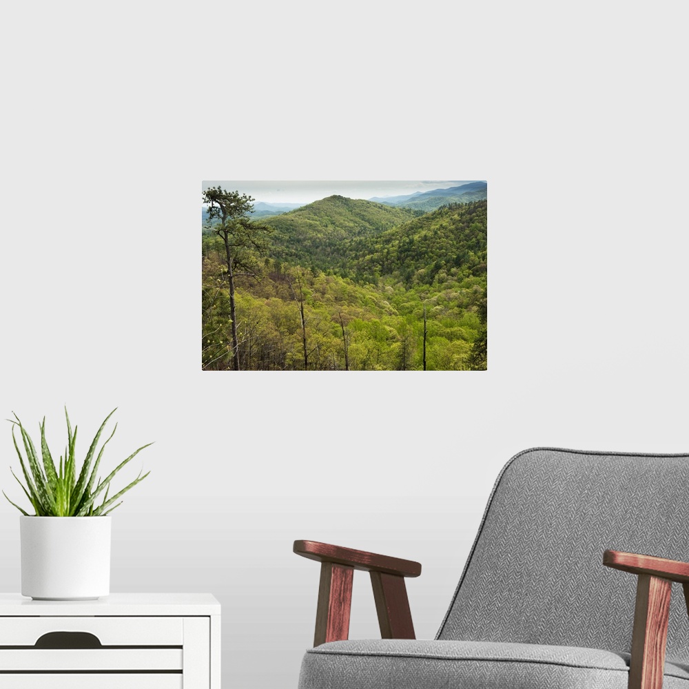 A modern room featuring Scenics of Blue Ridge Mountains, Northern Georgia, USA.