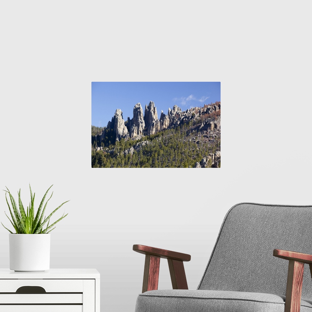 A modern room featuring SD, Custer State Park, Needles Highway, Cathedral Spires, granite rock formations