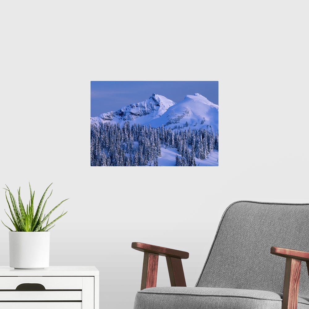 A modern room featuring Tatoosh Range and snow covered trees, Mount Rainier National Park, Washington.