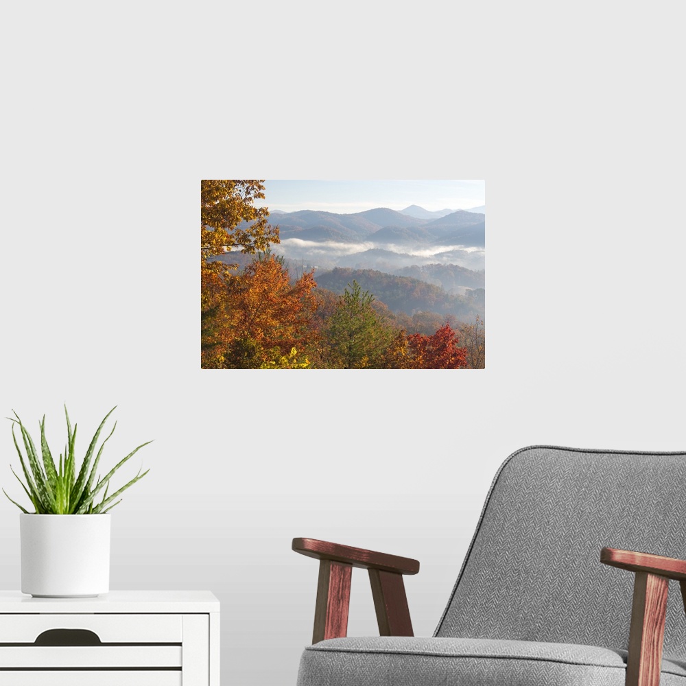 A modern room featuring US, TN. Morning light Fog in valleys Smoky Mountain NP viewed from Foothills Parkway