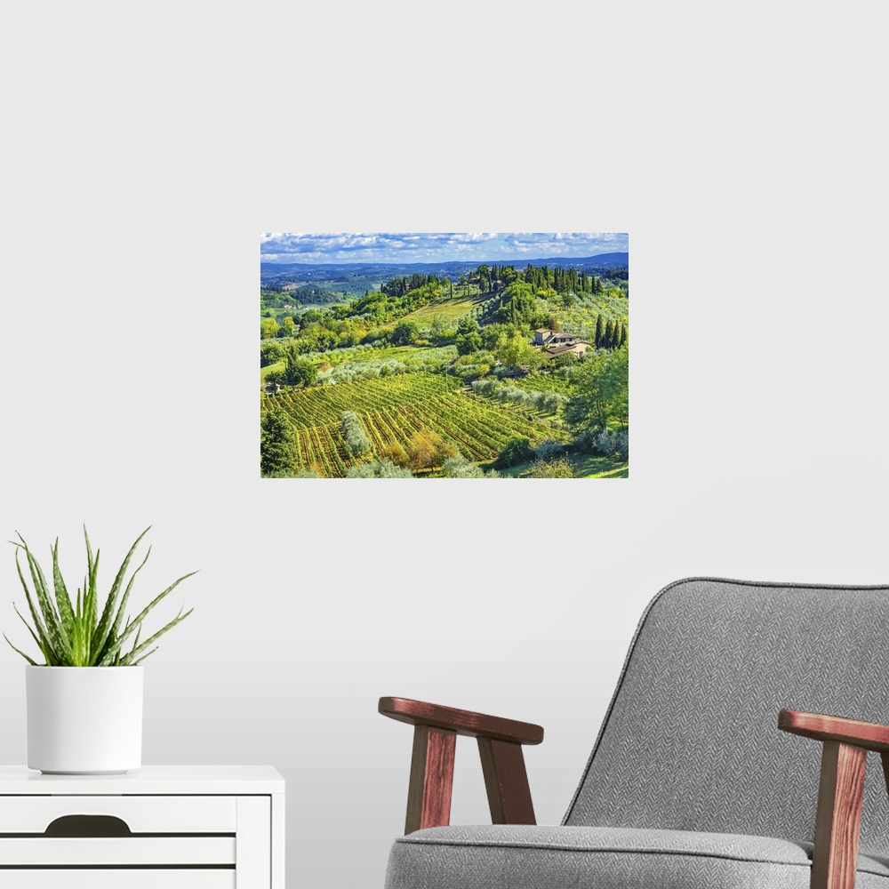 A modern room featuring Tuscan vineyard, San Gimignano, Tuscany, Italy.