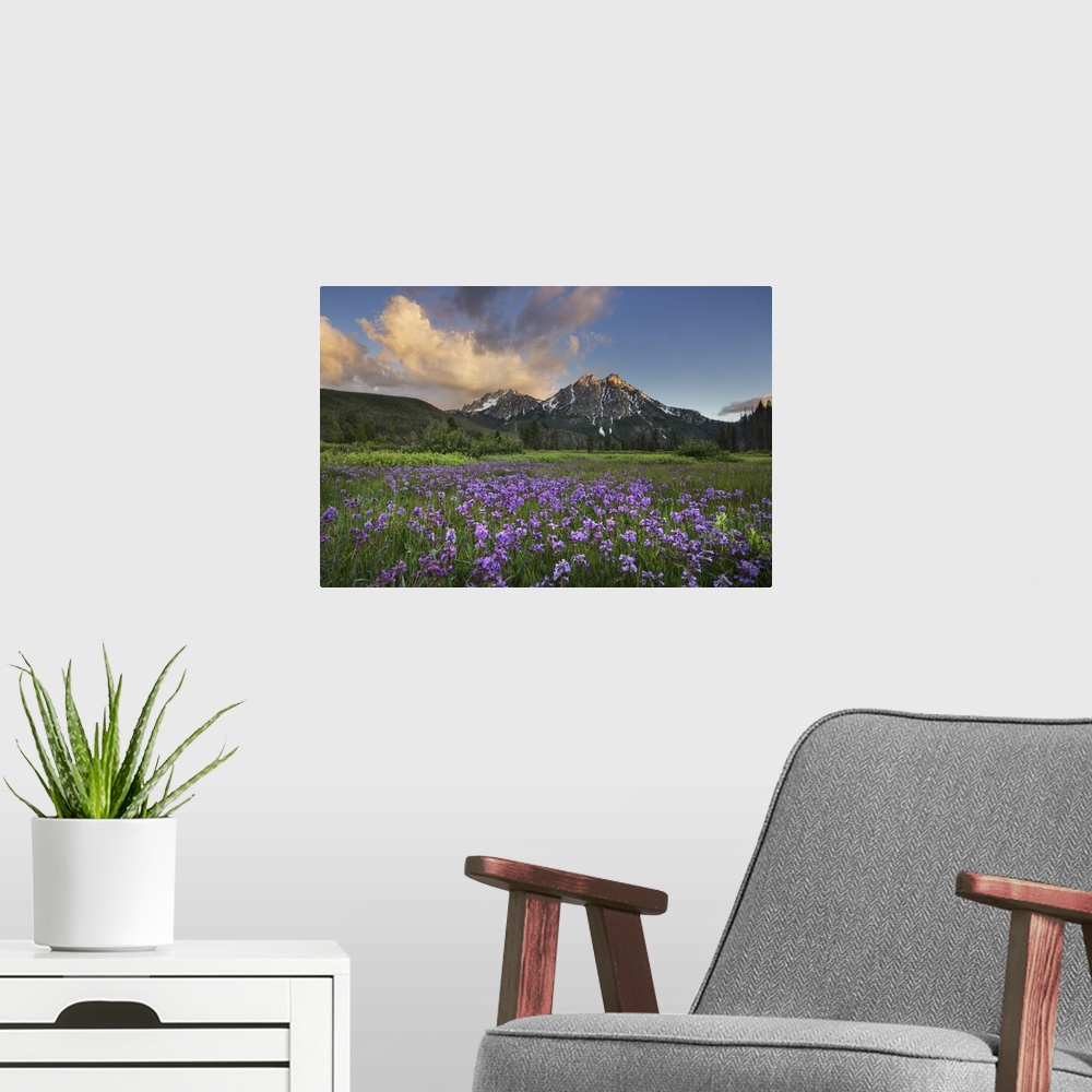 A modern room featuring USA, Idaho, Mcgown Peak Sawtooth Mountains