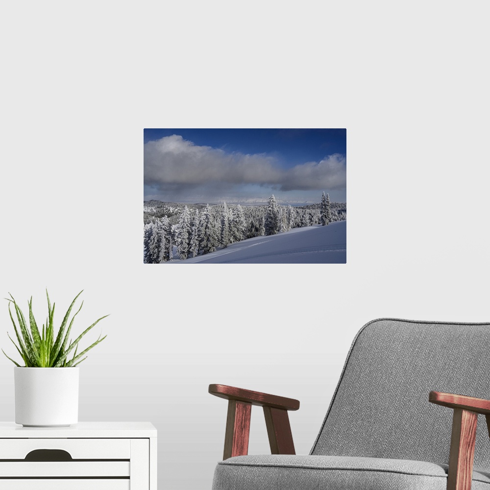 A modern room featuring USA, Idaho. Winter landscape near Bear Lake.