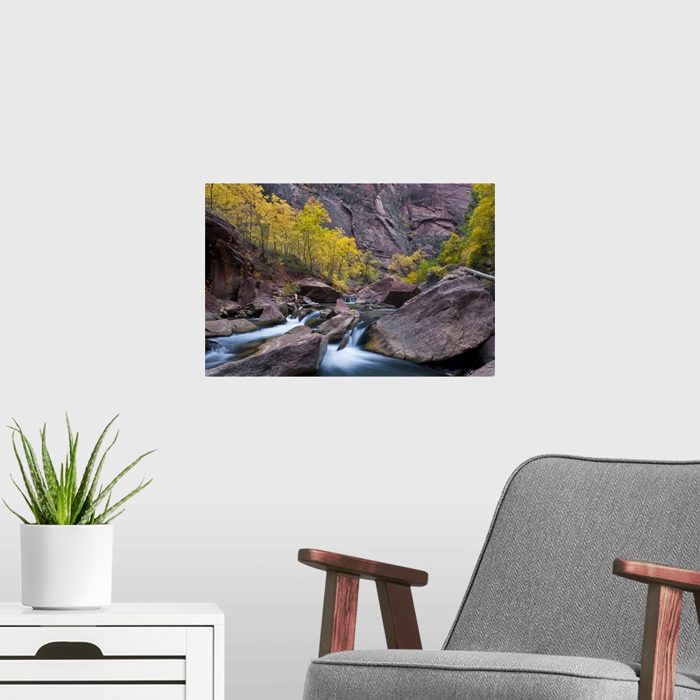 A modern room featuring USA, Utah, Zion National Park. Waterfall with cottonwood trees along Riverside Walk in The Narrows.