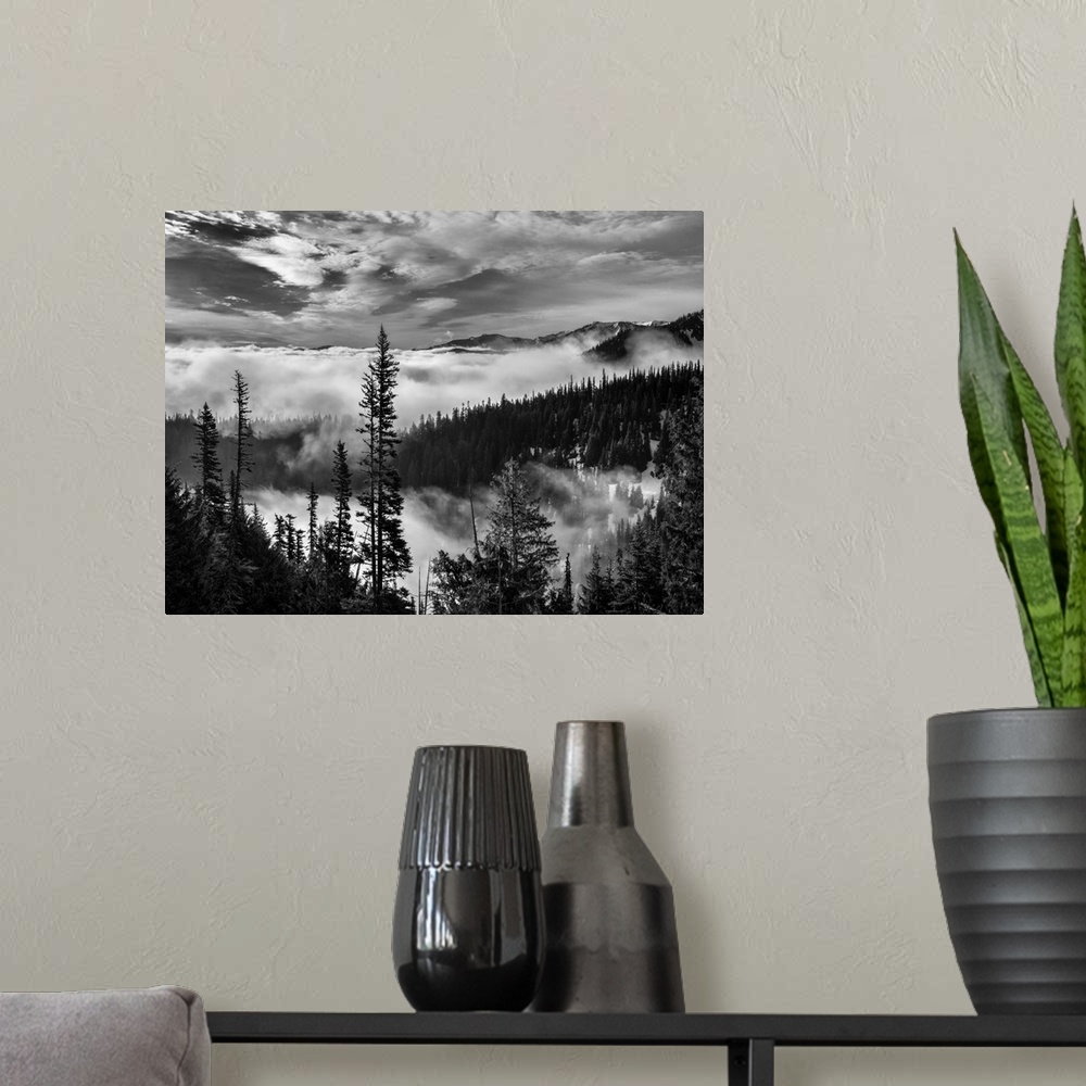 A modern room featuring USA, Washington, Olympic National Park, View northeast from road to Hurricane Ridge