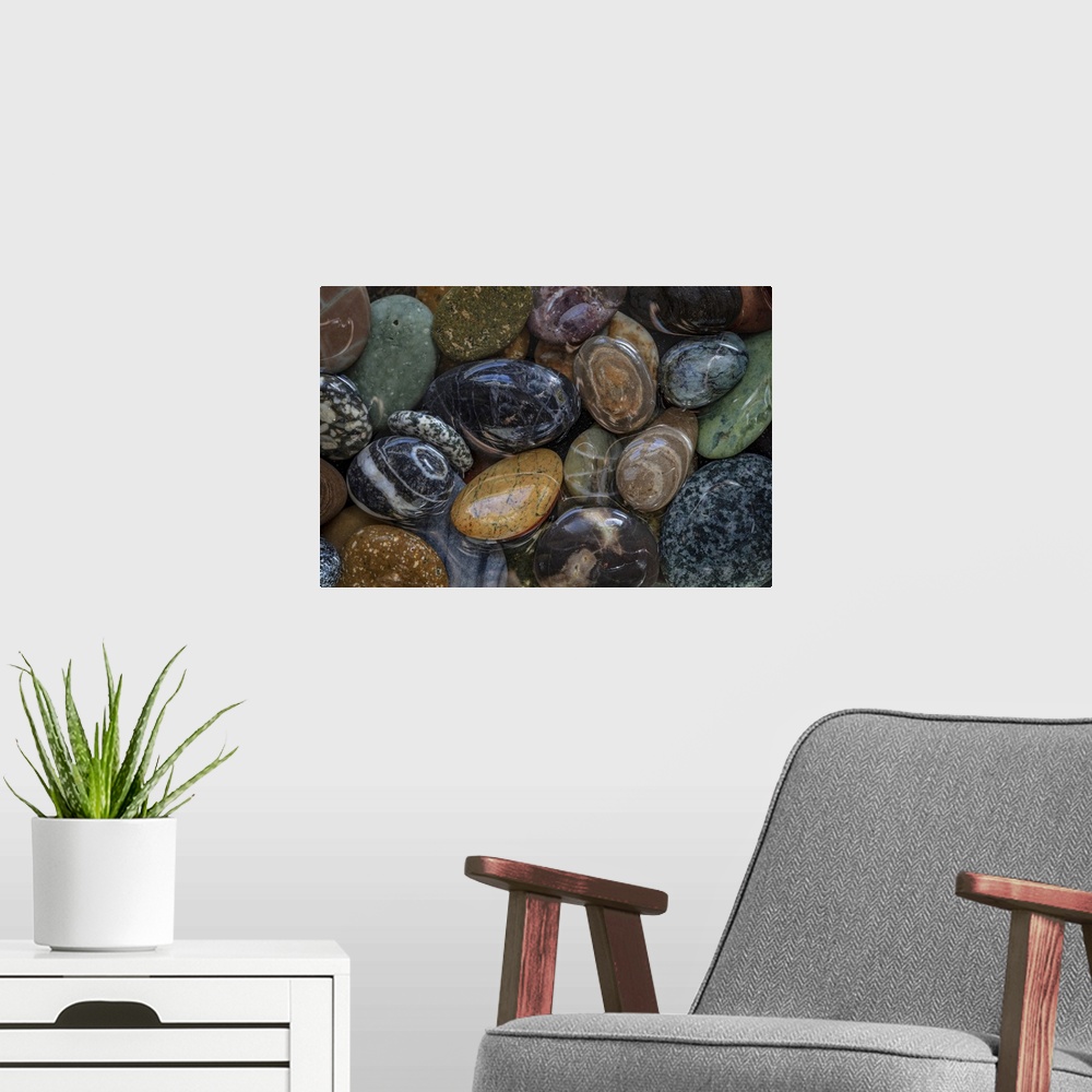 A modern room featuring USA, Washington State, Seabeck. Close-up of wet beach stones. Credit: Don Paulson