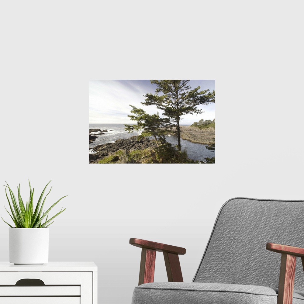 A modern room featuring Along the Wild Pacific Trail, Pacific Rim National Park Reserve, Ucluelet, British Columbia, Cana...