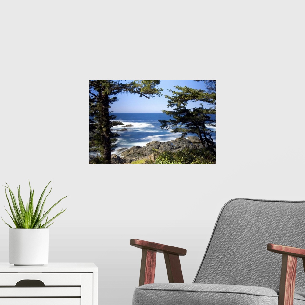 A modern room featuring Wild Pacific Trail, Ucluelet, Vancouver Island, British Columbia