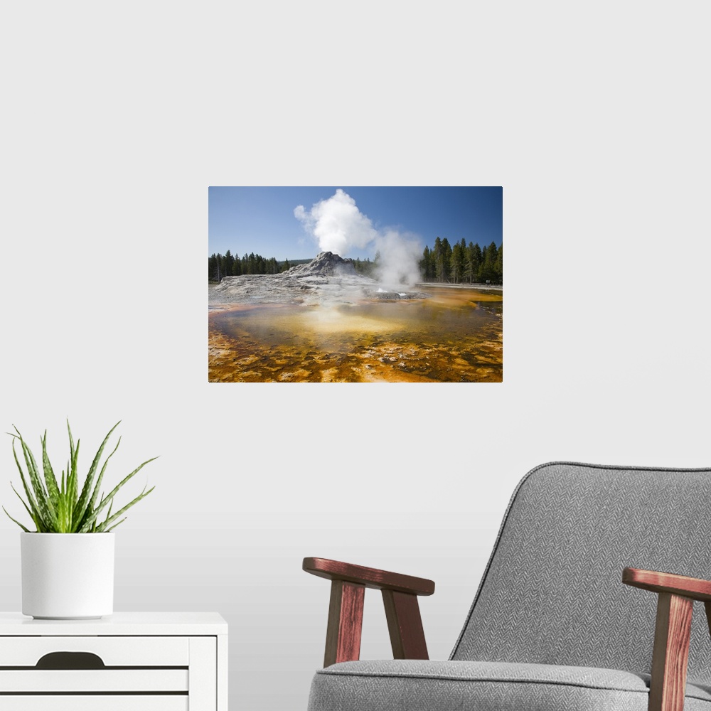 A modern room featuring Wyoming, Yellowstone National Park, Upper Geyser Basin, Crested Pool, colorful bacterial mat.