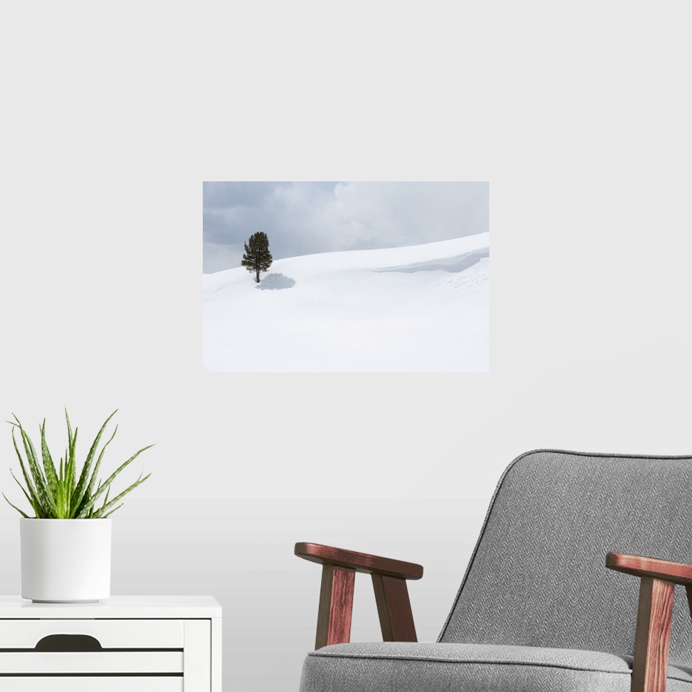 A modern room featuring Yellowstone National Park, Lamar Valley. A lone trees standing out in the snowy landscape.