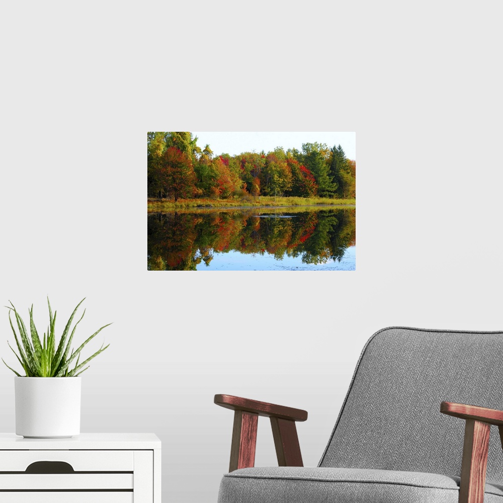 A modern room featuring Scenic autumn lake in late September.