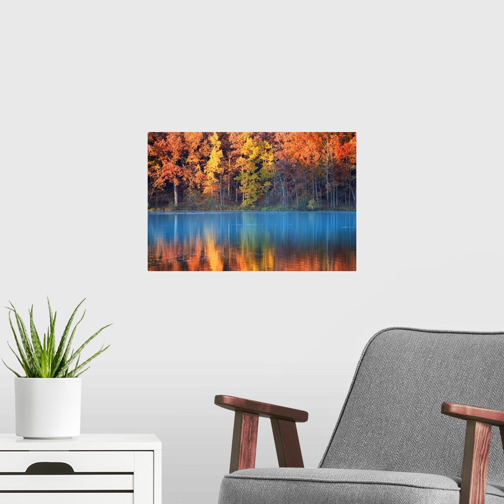 A modern room featuring Reflections of autumn trees in blue water lake.
