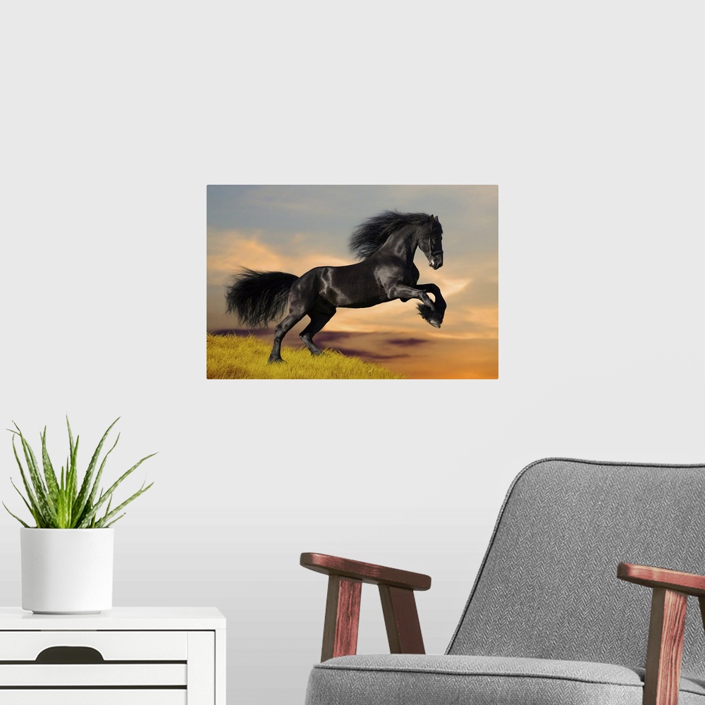 A modern room featuring Black horse galloping on a hill at sunset.