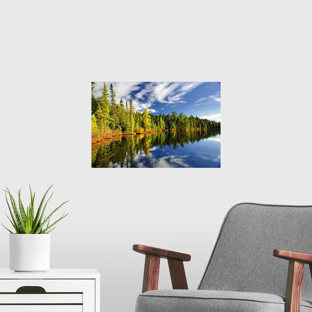 A modern room featuring Beautiful forest reflecting on calm lake shore at Algonquin Park, Canada.