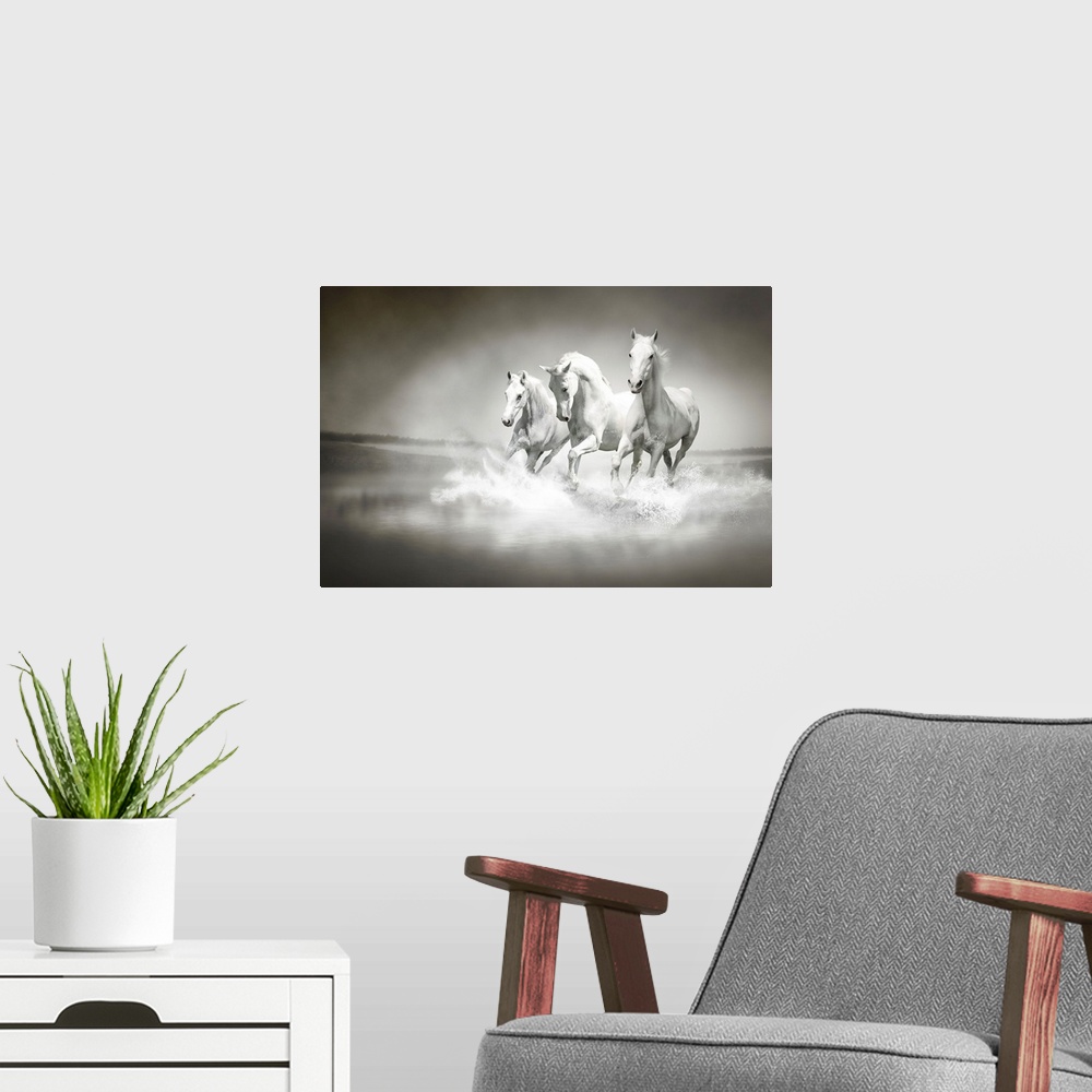A modern room featuring Photo of a herd of white horses running through water.